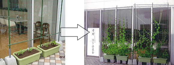 小倉コロナワールドさんへ「ゴーヤ」と「ツル芋」を提供しました。